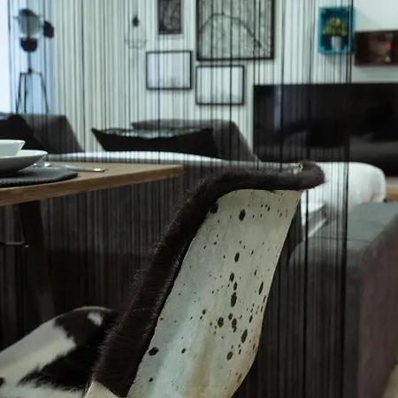 Homely Apartment